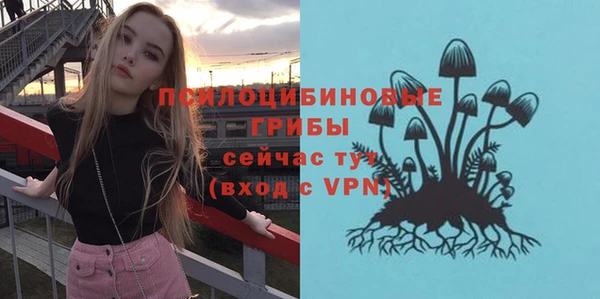 шишки Волоколамск