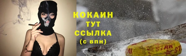 шишки Волоколамск