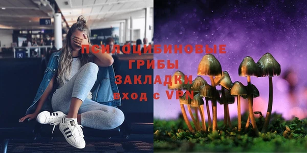 шишки Волоколамск