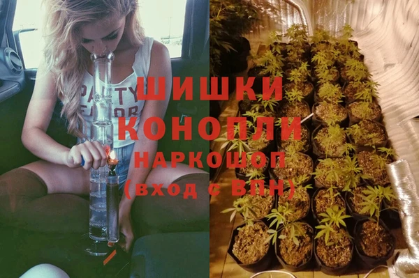apvp Володарск