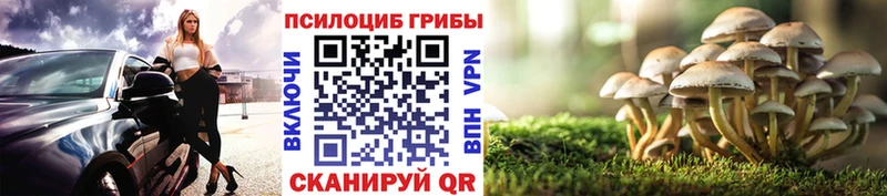 мориарти телеграм  Можайск  Псилоцибиновые грибы MAGIC MUSHROOMS 
