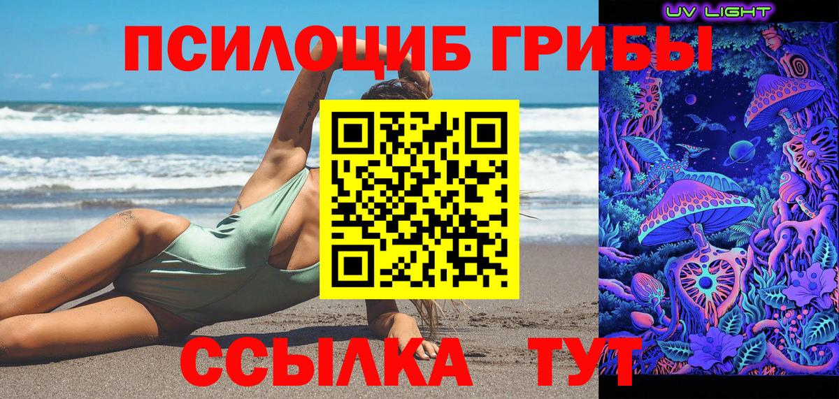 Псилоцибиновые грибы Psilocybe  Вход с VPN  Можайск 